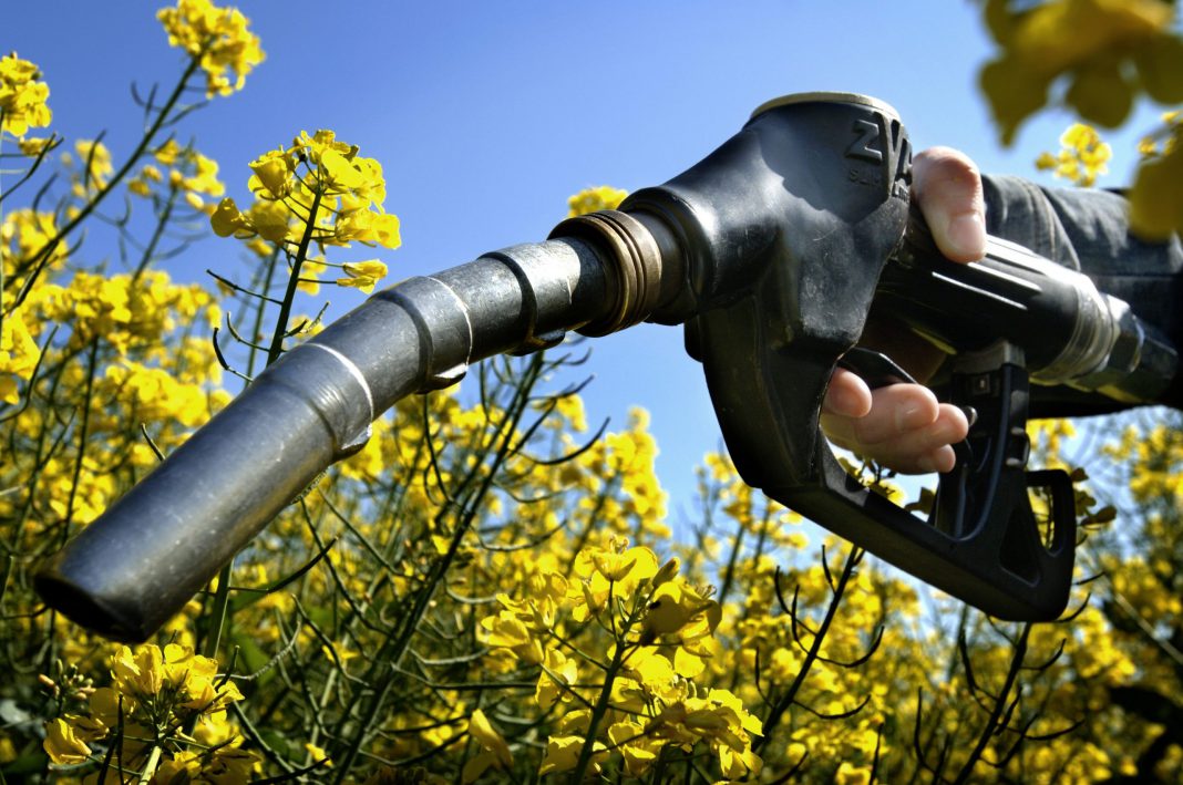 biofuel-energy