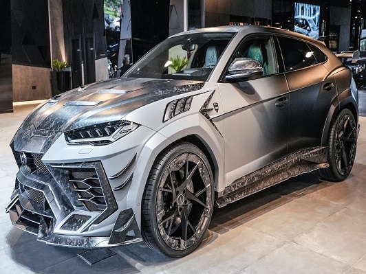 Mansory Venatus Evo S