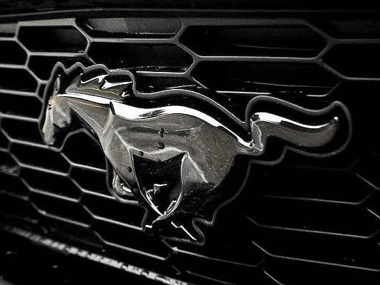 Mustang 2024 Model Mustang