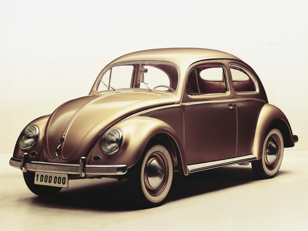 beetle beetle